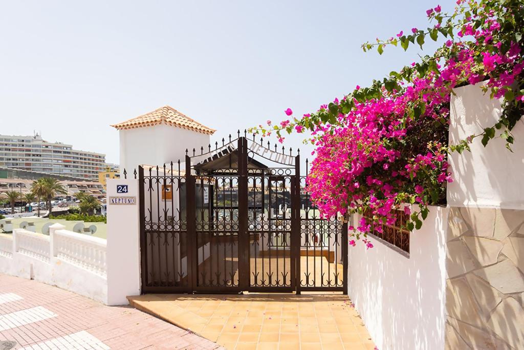Ferienwohnung Neptuno Ocean Experience Puerto de Santiago  Exterior foto